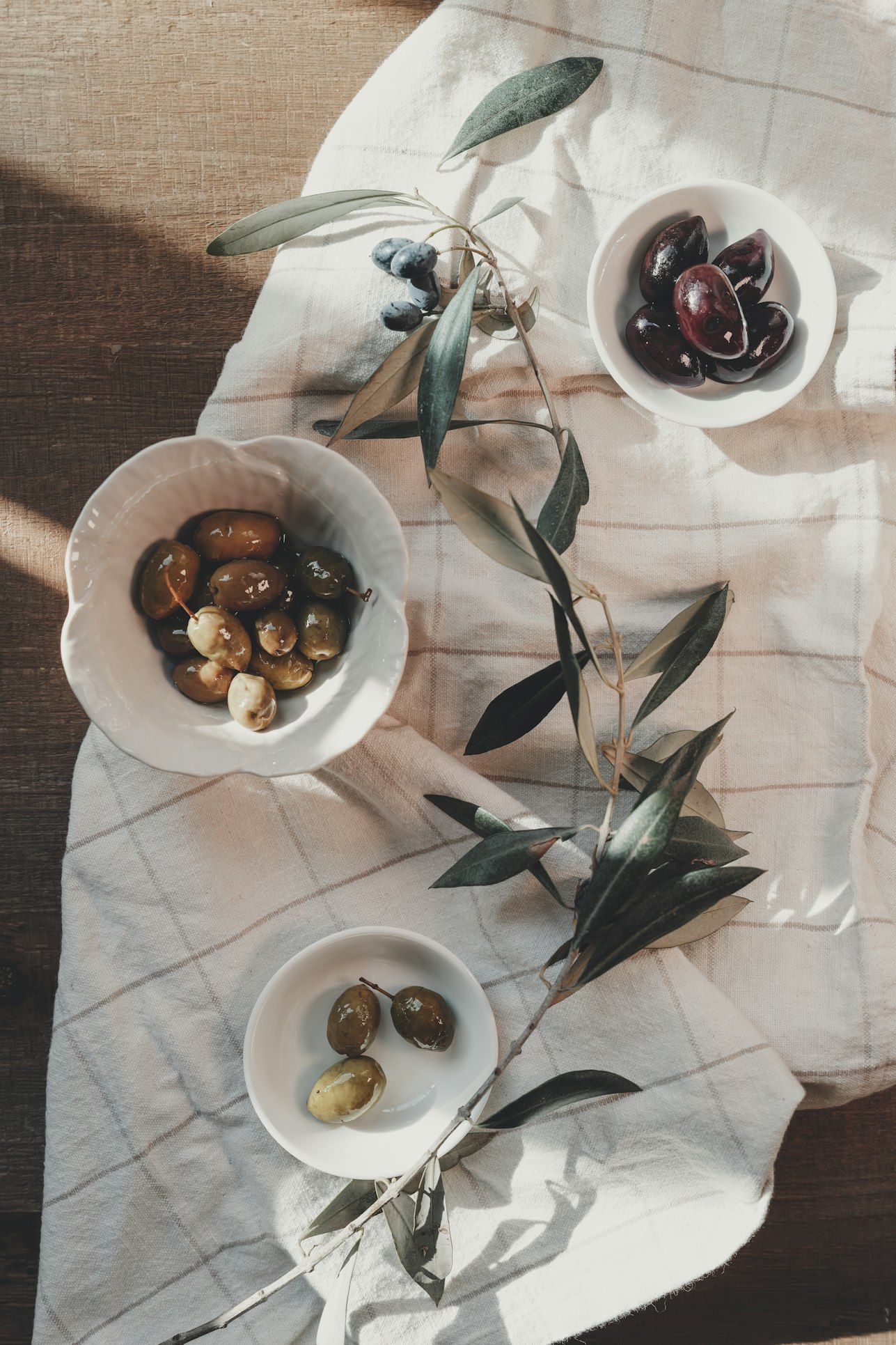 Mediterranean still life with olives and leaves